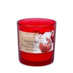Müller Kerzen 89910042-cl Wachskerze Zylinder Apfel Rot 1 Stück(e)