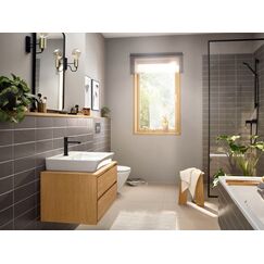 Hansgrohe 72650670 Nicht kategorisiert