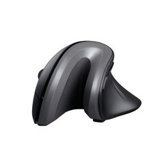 Trust Verro Maus Büro Rechts RF Wireless Optisch 1600 DPI