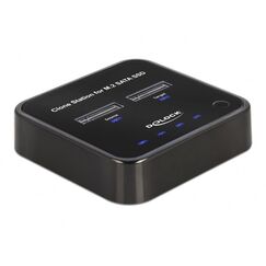 DeLOCK M.2 Dockingstation für 2 x M.2 SATA SSD mit Klon Funktion