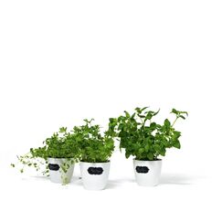 HERMA 15414 selbstklebendes Etikett Permanent Schwarz 4 Stück(e)