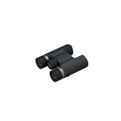 Pentax AD 9x28 WP Fernglas Dach Schwarz