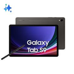 Samsung Galaxy Tab S9 SM-X716B 5G Snapdragon 256 GB 27,9 cm (11") 12 GB Wi-Fi 6 (802.11ax) Android 13 Graphit