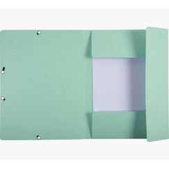 Exacompta 55533E Sammelmappe Karton Grün A4