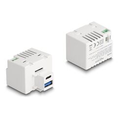DeLOCK Keystone Modul mit USB Typ-A und USB Type-C Ladebuchse PD 20 W weiß