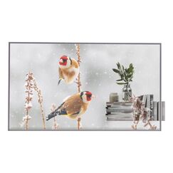 LG 55EW5P-M Signage-Display 139,7 cm (55") OLED 600 cd/m² Full HD Silber Touchscreen 18/7