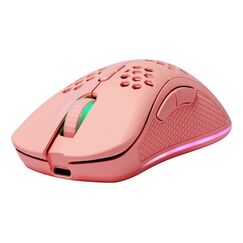 Deltaco Gaming GAM-120-P Maus Rechts RF Wireless + Bluetooth + USB Type-C Laser 4800 DPI