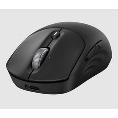 HP 705 Wiederaufladbare Wireless-Maus