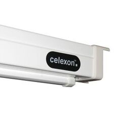Celexon 1090088 Projektionsleinwand 1:1