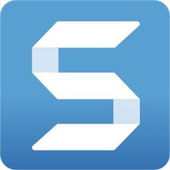 TechSmith Snagit 1 - 9 Lizenz(en) Bildschirmschoner 3 Jahr(e)
