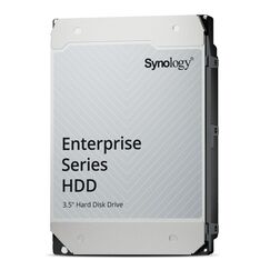 Synology HAS5310-12T Interne Festplatte 12 TB 7200 RPM 512 MB 3.5" SAS3