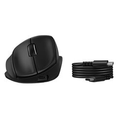 HP Geneigte ergonomische Maus 725M