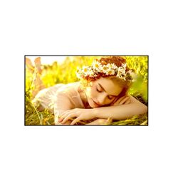 LG 50UL5Q-M Signage-Display Digital Signage Flachbildschirm 127 cm (50") LED WLAN 500 cd/m² 4K Ultra HD Schwarz WebOS 24/7