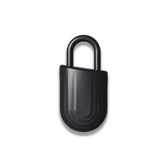 igloohome Padlock Lite Smart-Padlock, Farbe: Schwarz
