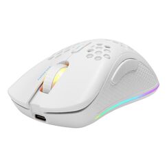 Deltaco Gaming GAM-120-W Maus Rechts RF Wireless + Bluetooth + USB Type-A Optisch 4800 DPI
