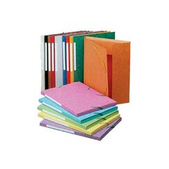 Exacompta 3 flap folder with label, A4 Yellow Gelb