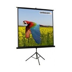 Celexon 1090016 Projektionsleinwand 1:1