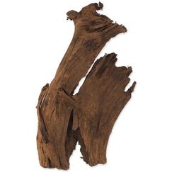 Repti Planet 007-59003 Deko-Ornament für den Lebensraum von Reptilien & Amphibien Fingerwurzeln Holz 1 Stück(e)