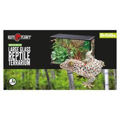 Repti Planet 007-60565 Reptilien- & Amphibien-Terrarium