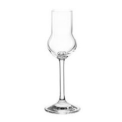 Montana 042434 Schnapsglas 60 ml