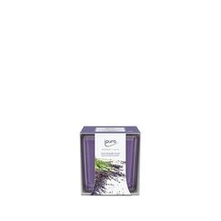 ipuro Lavender touch Wachskerze Quadratisch Zitrus, Blume, Lavendel, Minze, Moschus Lavendel 1 Stück(e)