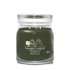 Yankee Candle Silver Sage & Pine Wachskerze Zylinder Grün 1 Stück(e)