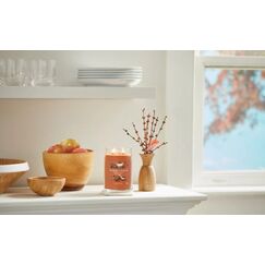 Yankee Candle 1701372E Wachskerze Zylinder Zimt, Gewürznelke Orange 1 Stück(e)