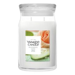 Yankee Candle Blooming Love Wachskerze Rund Holz, Moschus Weiß 1 Stück(e)