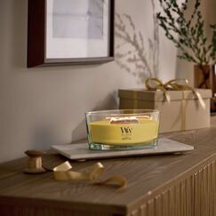 WoodWick Solar Orchid Wachskerze Ellipse Orchidee Gelb 1 Stück(e)