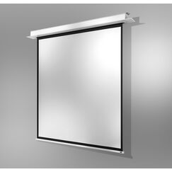 Celexon 1000000866 Projektionsleinwand 1:1