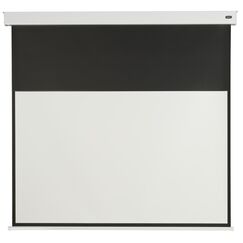 Celexon Professional Plus Projektionsleinwand 109,2 cm (43") 16:9
