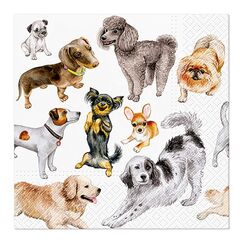 G. Wurm 10042860 Papierserviette Papier Mehrfarbig 20 Stück(e)