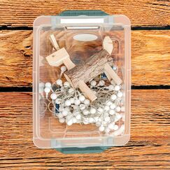 Rotho 1007805092WS Aufbewahrungsbox Rechteckig Kunststoff Grün, Transparent