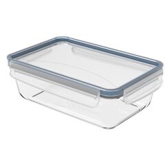 Rotho 1033506161 Lebensmittelaufbewahrungsbehälter Rechteckig Container 1,3 l Blau, Transparent 1 Stück(e)