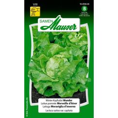 Samen Mauser 10459404 Gemüsesamen Salat 1 Stück(e)