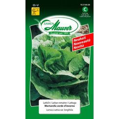 Samen Mauser Lattich Mortarella verde d´inverno