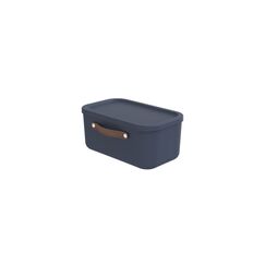 Rotho 1054906250WS Aufbewahrungsbox Rechteckig Kunststoff Blau