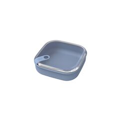 Rotho 1057106161WS Quadratisch Container 1 l Blau 1 Stück(e)