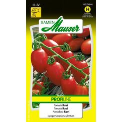 Samen Mauser 10575044 Gemüsesamen Tomate 8 Stück(e)
