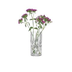 Nachtmann Noblesse Vase Vase mit runder Form Glas Transparent