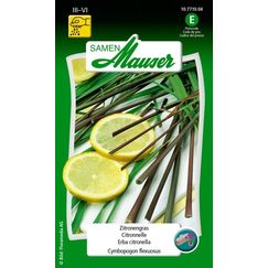 Samen Mauser 10771004 Grassamen 0,001 kg