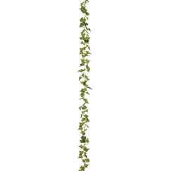 Botanic-Haus 108885-800 Künstliche Pflanze Drinnen Künstliche nicht blühende Pflanze