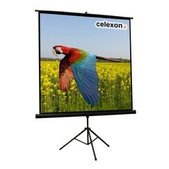 Celexon 1090014 Projektionsleinwand 1:1