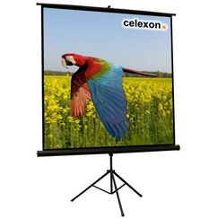 Celexon 1090015 Projektionsleinwand 1:1