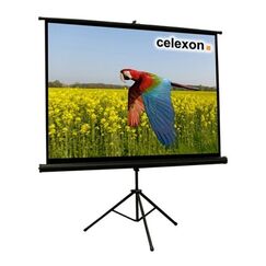 Celexon 1090021 Projektionsleinwand 4:3