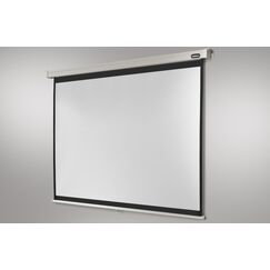 Celexon Professional Projektionsleinwand 4:3