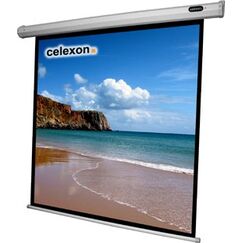 Celexon 1090066 Projektionsleinwand 1:1