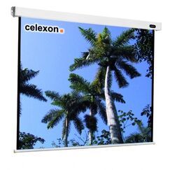 Celexon 1090090 Projektionsleinwand 1:1