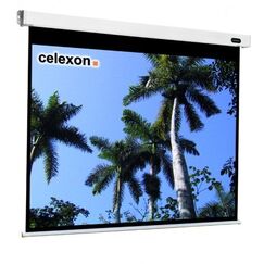 Celexon 1090094 Projektionsleinwand 4:3