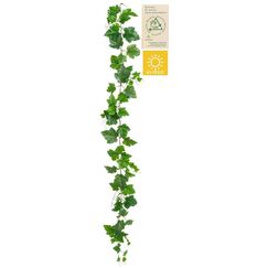 Botanic-Haus 109297-800 Künstliche Pflanze Drinnen/Draußen Künstliche nicht blühende Pflanze